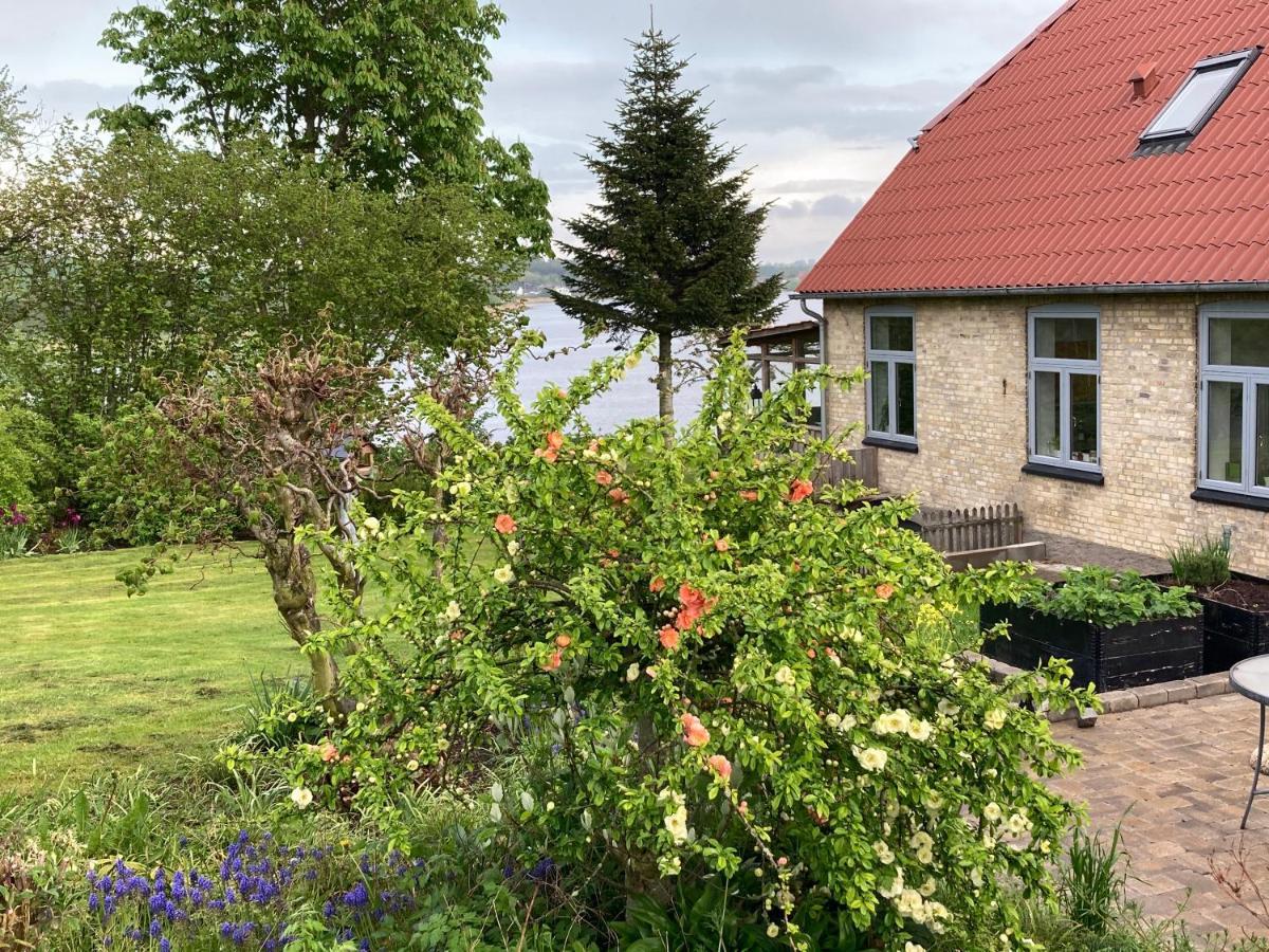Bogebjerggard Bed & Breakfast Sonderborg Bagian luar foto