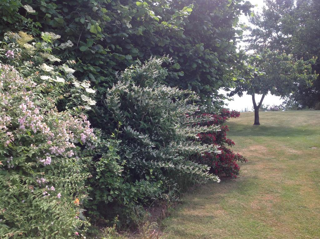 Bogebjerggard Bed & Breakfast Sonderborg Bagian luar foto