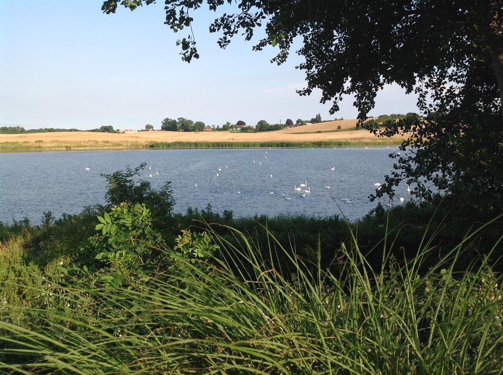 Bogebjerggard Bed & Breakfast Sonderborg Bagian luar foto