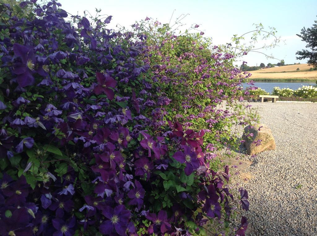 Bogebjerggard Bed & Breakfast Sonderborg Bagian luar foto