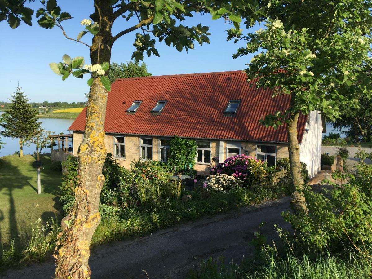 Bogebjerggard Bed & Breakfast Sonderborg Bagian luar foto
