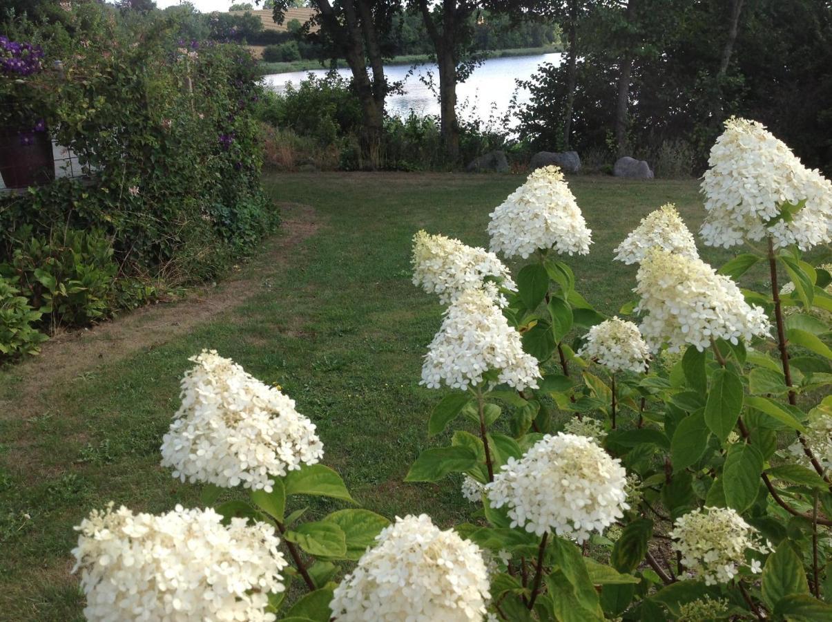 Bogebjerggard Bed & Breakfast Sonderborg Bagian luar foto