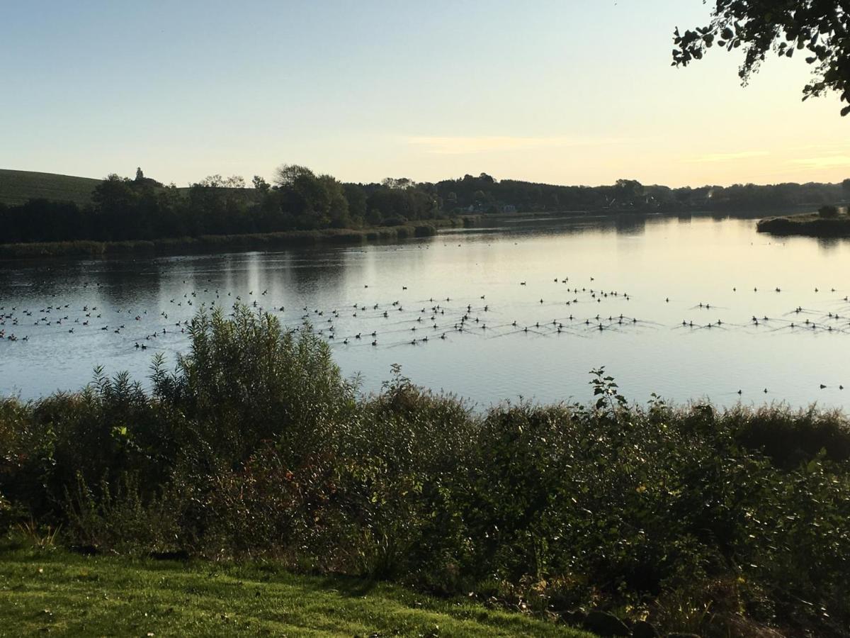 Bogebjerggard Bed & Breakfast Sonderborg Bagian luar foto